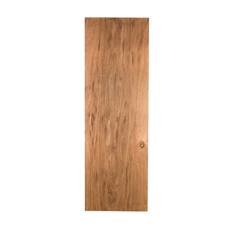 Plywood Flush Door (2).png