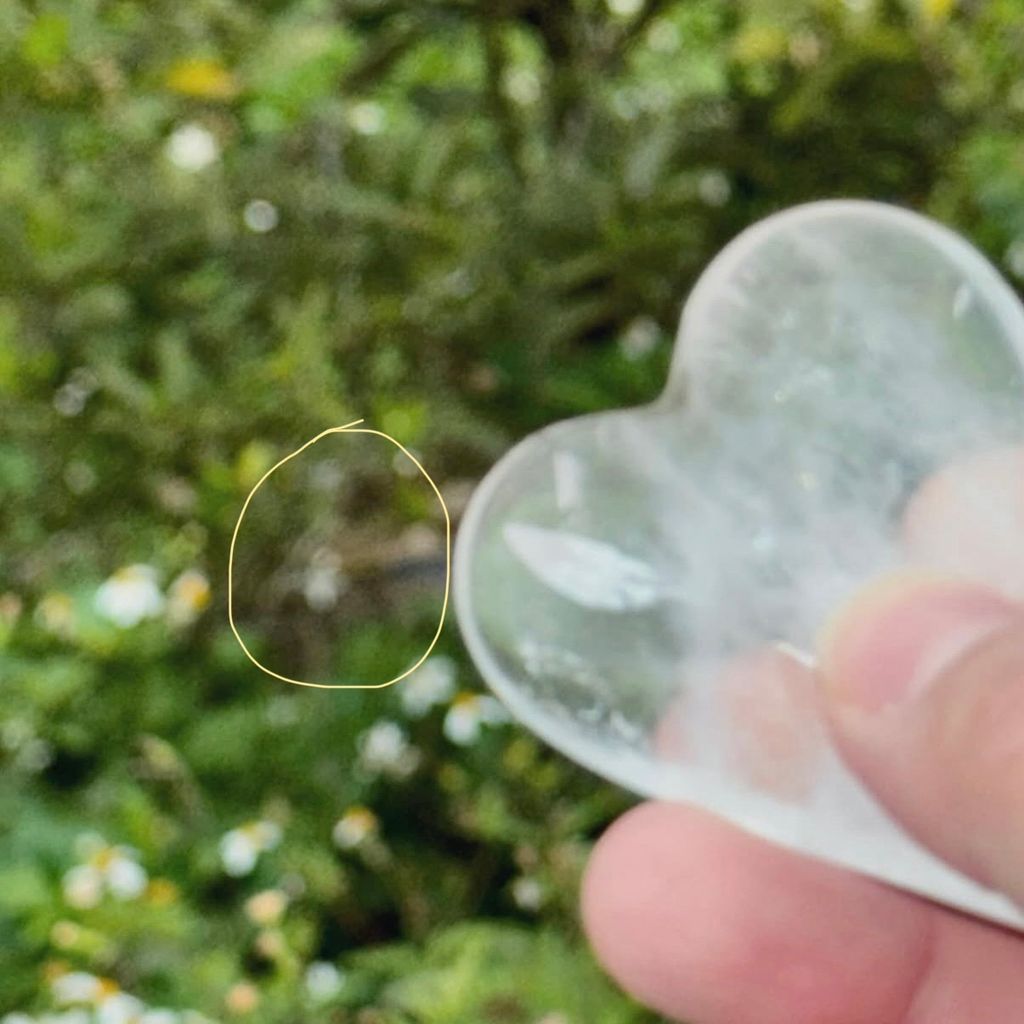 image_6BC9D99B-B8C7-4997-BAB5-59EB5E3CCA02_1763186053