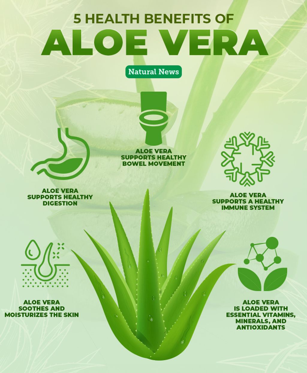 5-Health-Benefits-of-Aloe-Vera.jpg