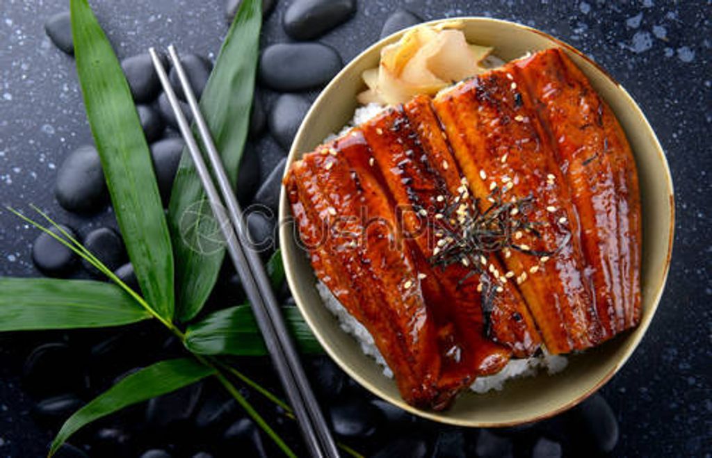 stock-photo-japanese-eel-grilled-with-rice-or-unagi-don-1279507