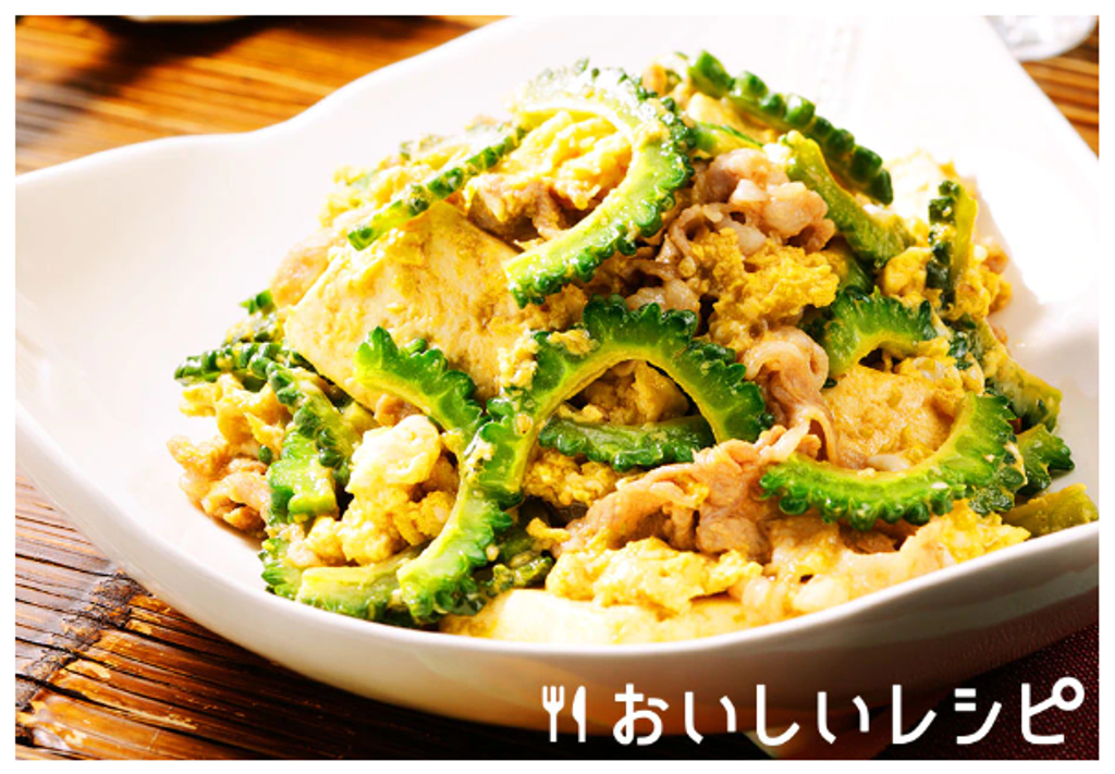 Japan Ebara Karyu Torigara Soup 500g Chicken Stock Powder Japanese