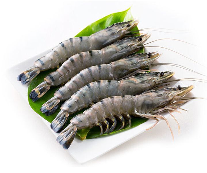 frozen-prawn