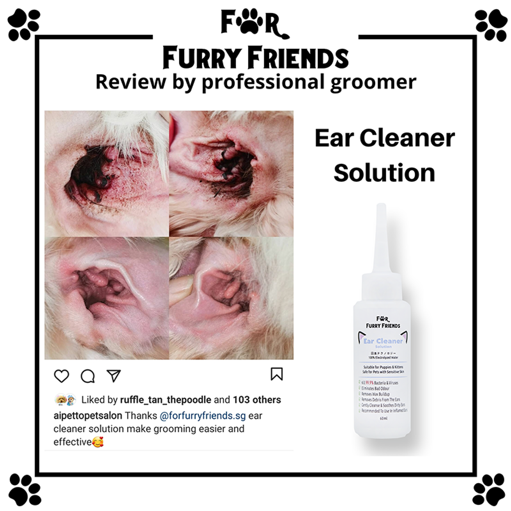 Ear Cleaner Review.png