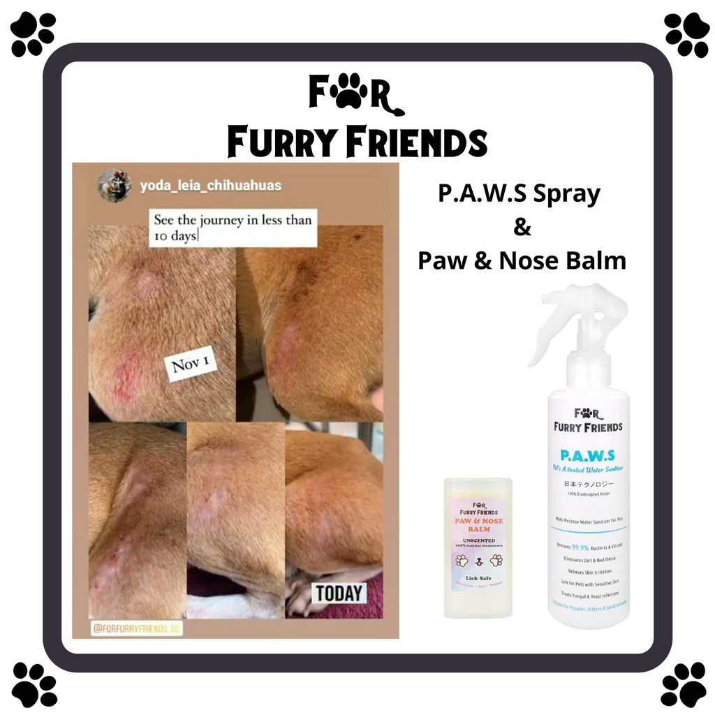 PAWS + Paw & Nose Balm Review.jpg