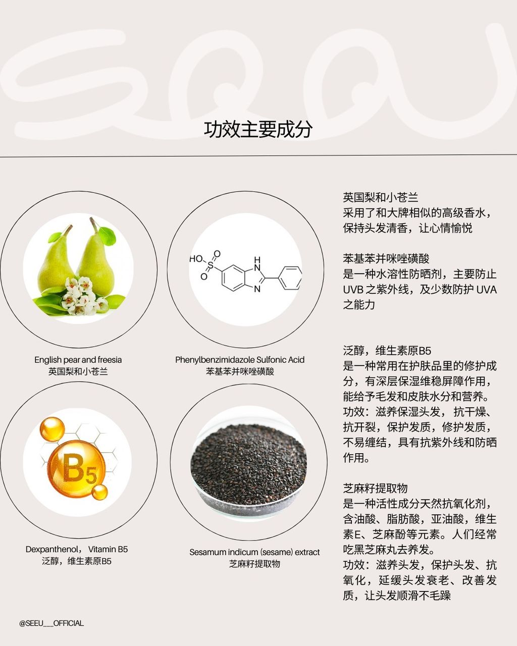 function ingredient chi-1719807258406