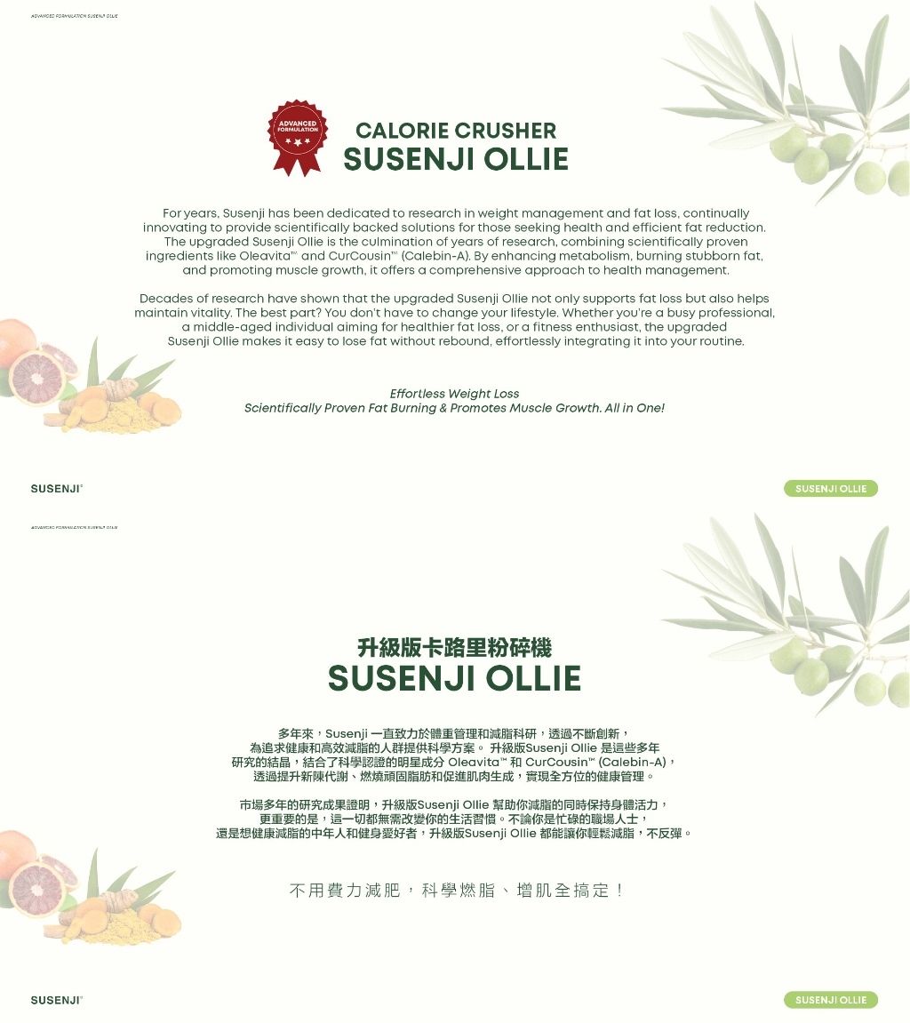 IMG_1543-1733728564286