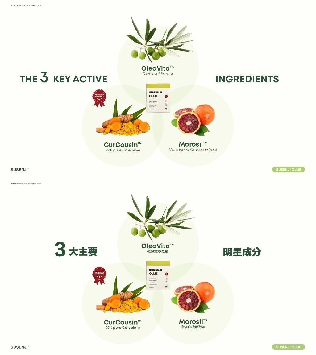 IMG_1549-1733728974791