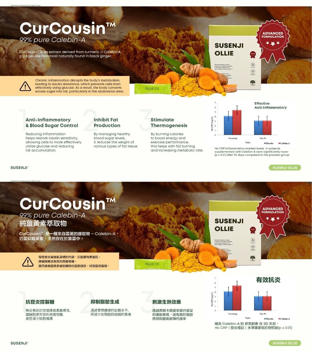 IMG_1554-1733728974768