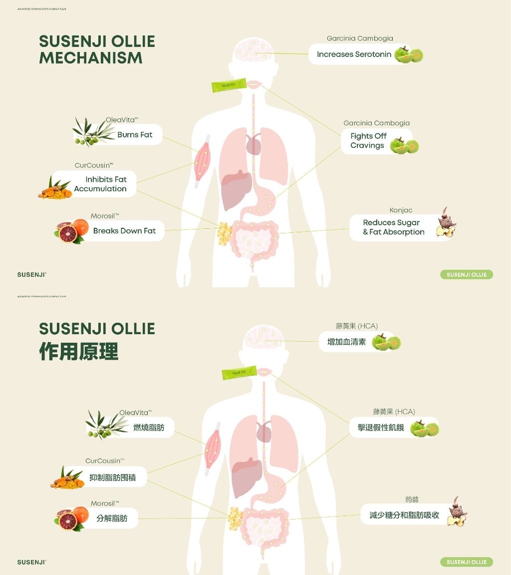 IMG_1558-1733728974795