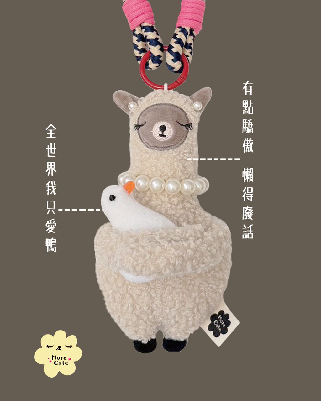 說明書 -6