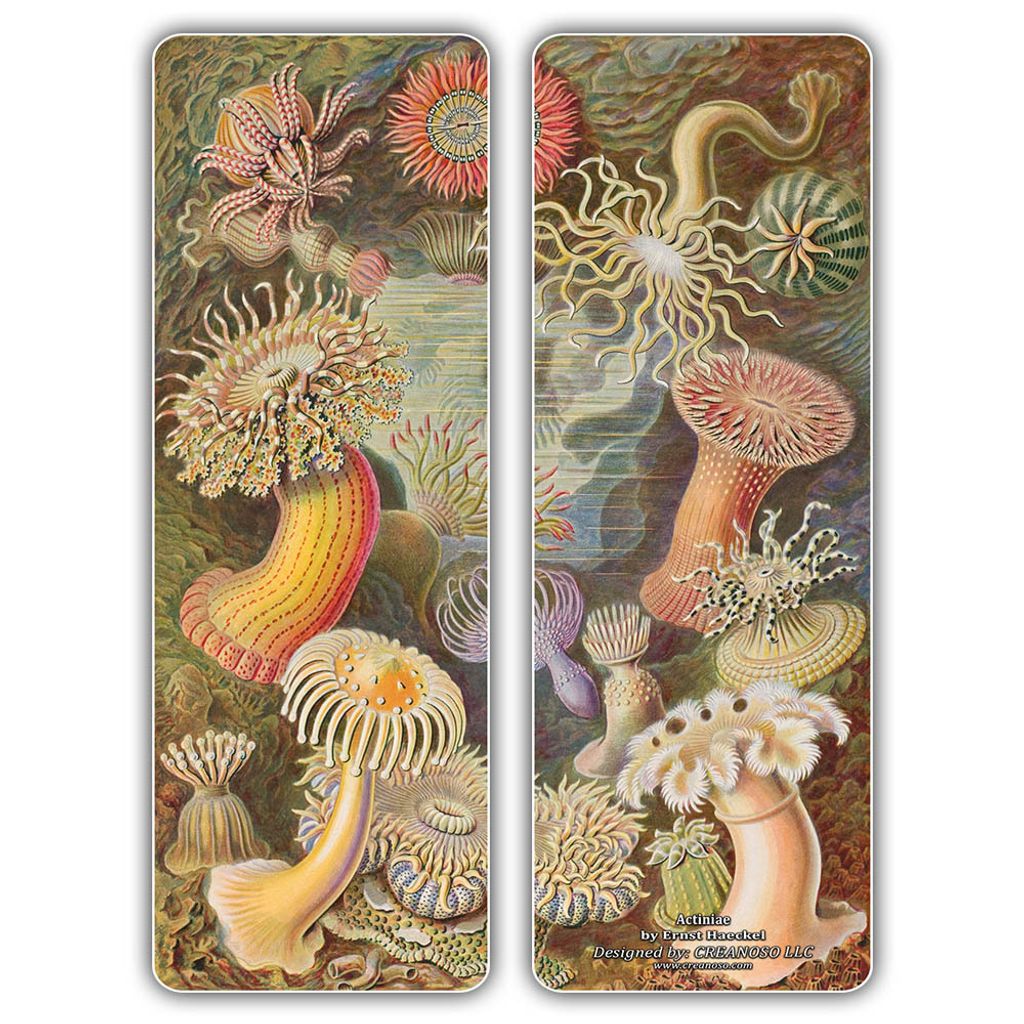 Ernst Haeckel Bookmarks D3.jpg