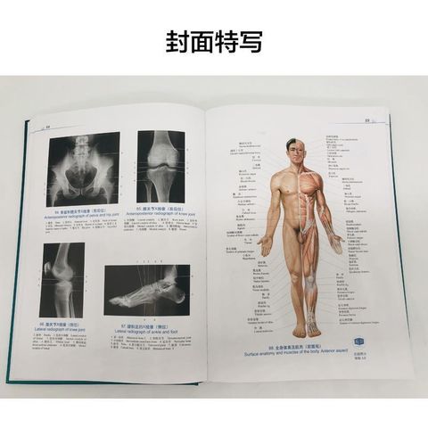 MYFSP2651_2.jpg