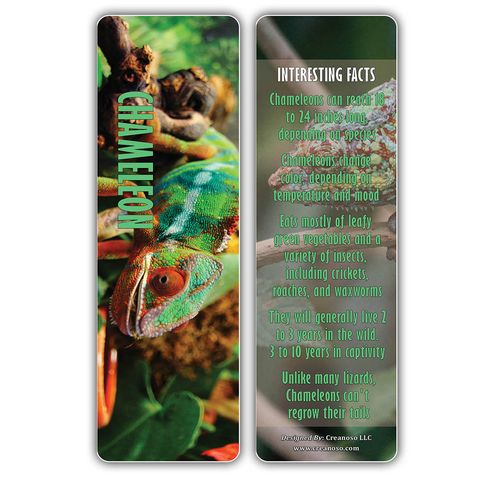 CNSBM2039_BM1_Exotic Reptile Bookmarks
