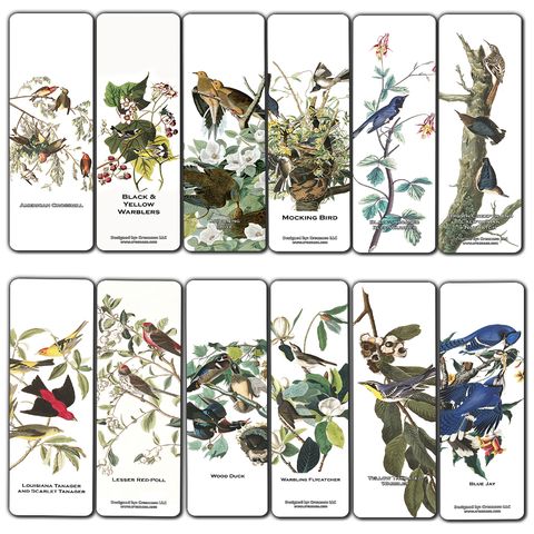 CNSBM3084_MAIN_Bird Bookmarks John James Audubon