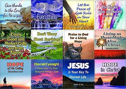 61cUEzNDFlL_bae22c80-82f3-4965-ae6b-46e111a466bc