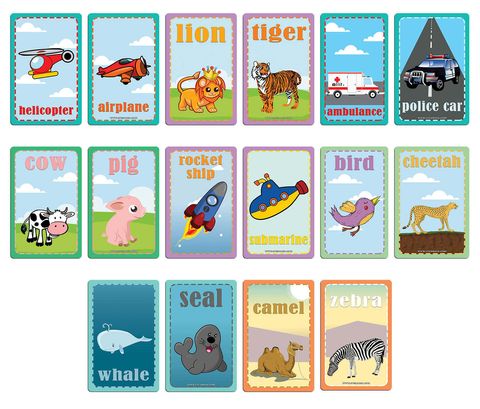 CNSBC2008_ThingsthatMoveLearningFlashCards_shopifymainimage