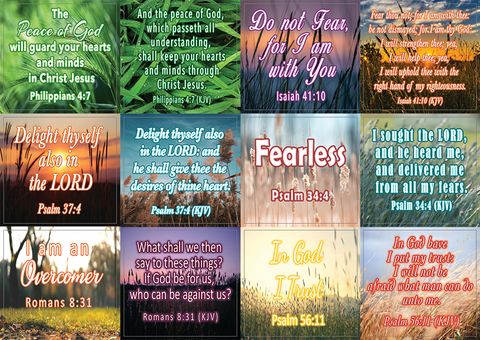 NEST1047_main_12n1_Bible Verses to Soothe Your Soul Stickers