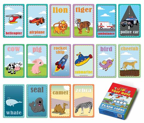 CNSBC2008_Things that Move Learning Flash Cards_1DMain_Image