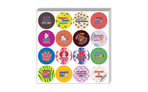 CNSST2125_mainEBC_Adopt A Pet Stickers