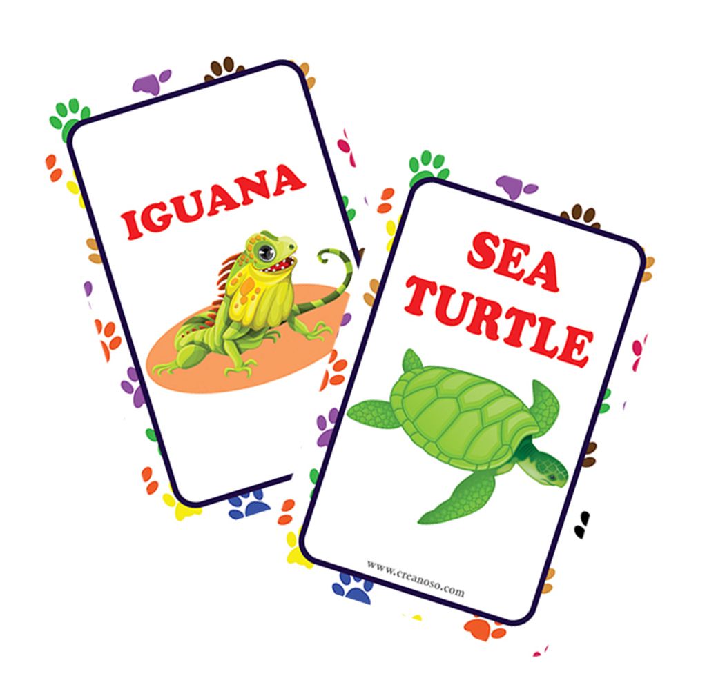 CNSBC1208_MockUp5_Zoo, Sea, Farm and Pet Animals, Kinds of Insects Learning Cards