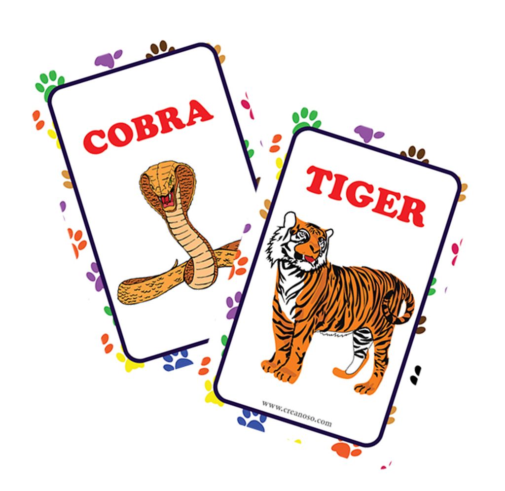 CNSBC1208_MockUp4_Zoo, Sea, Farm and Pet Animals, Kinds of Insects Learning Cards