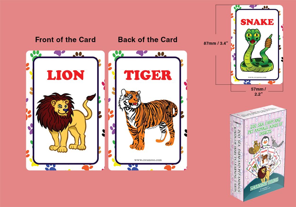 CNSBC1208_MockUp2_Zoo, Sea, Farm and Pet Animals, Kinds of Insects Learning Cards
