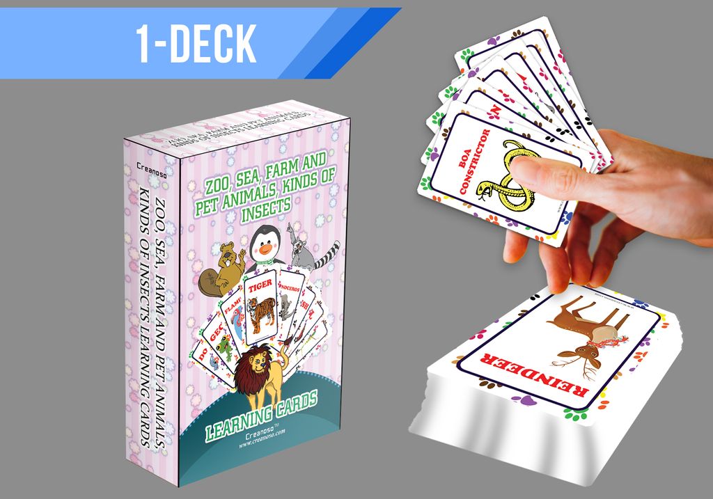 CNSBC1208_main_D1_Zoo, Sea, Farm and Pet Animals, Kinds of Insects Learning Cards_Deck 1