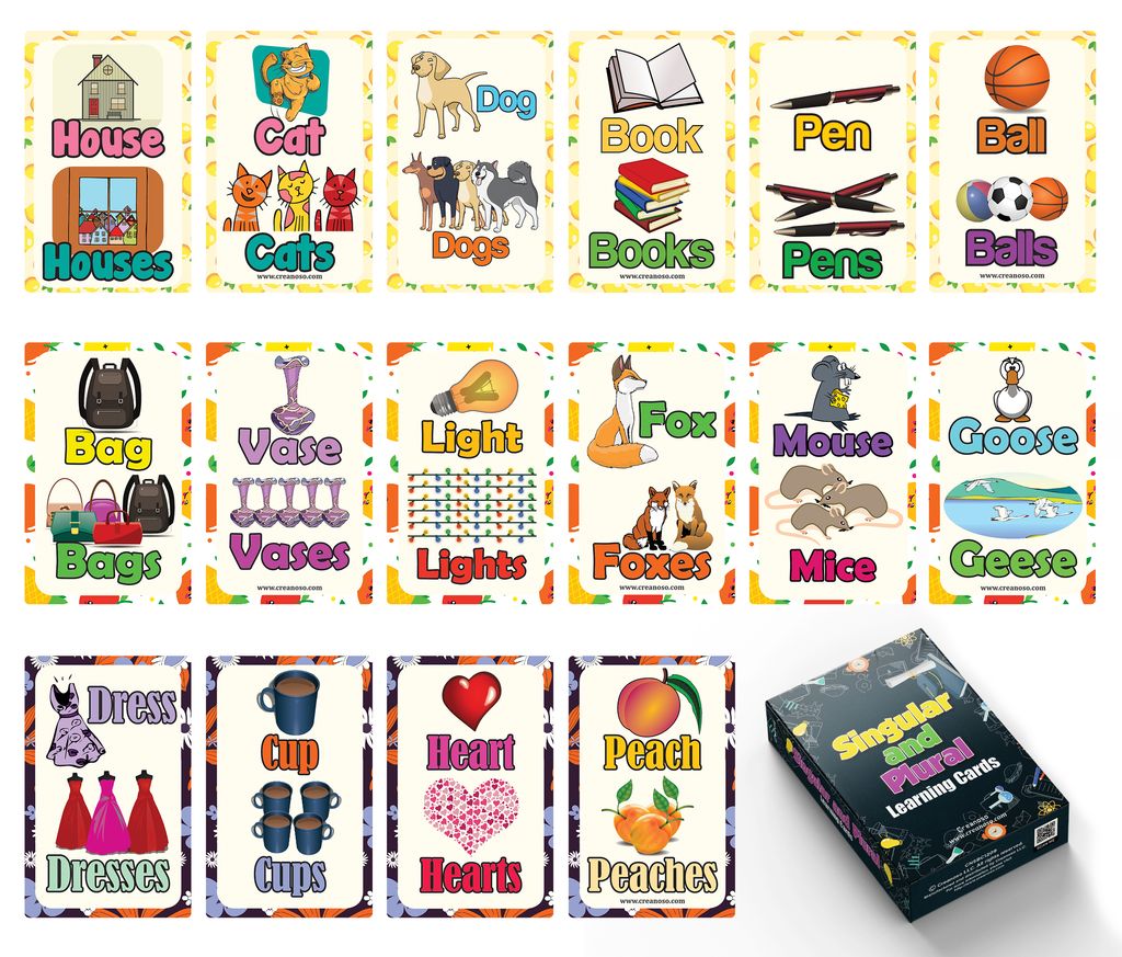 CNSBC1209 -Singular and Plural Learning Cards - 1D_Main