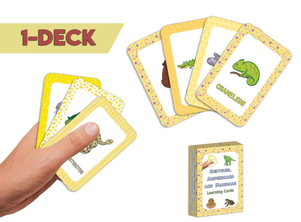 CNSBC1227_main_1D_Reptiles, Amphibians and Mammals Learning Cards