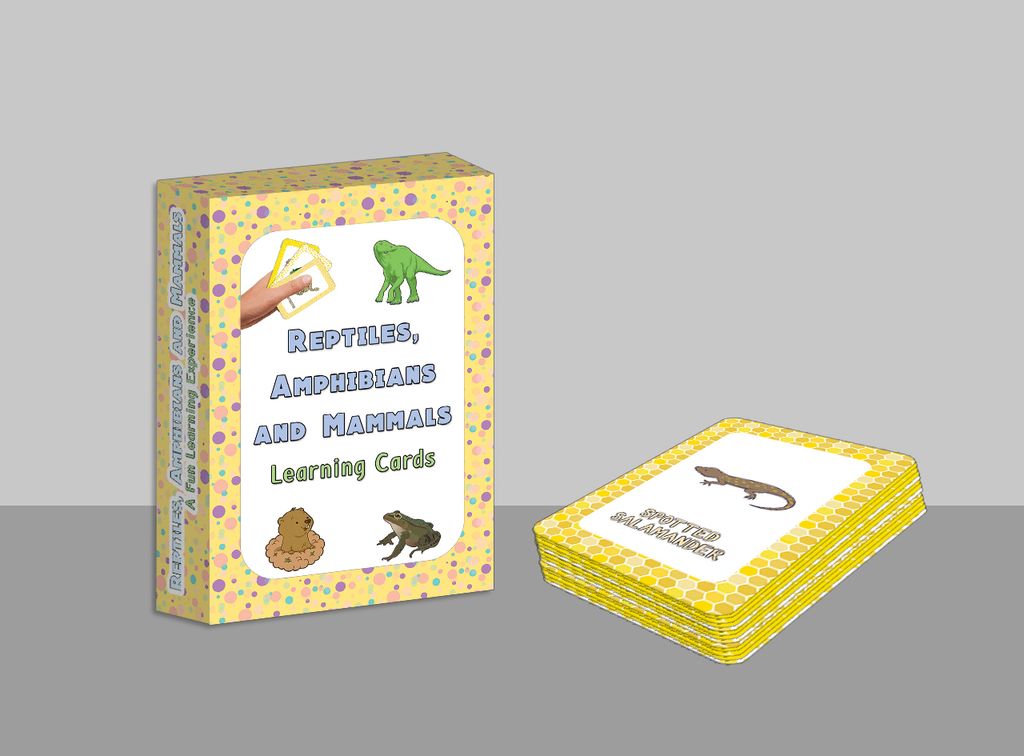 CNSBC1227_main_Mock up4_Reptiles, Amphibians and Mammals Learning Cards