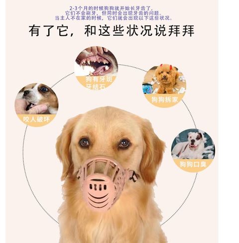 MYFSP4006-MYFSP4007_1