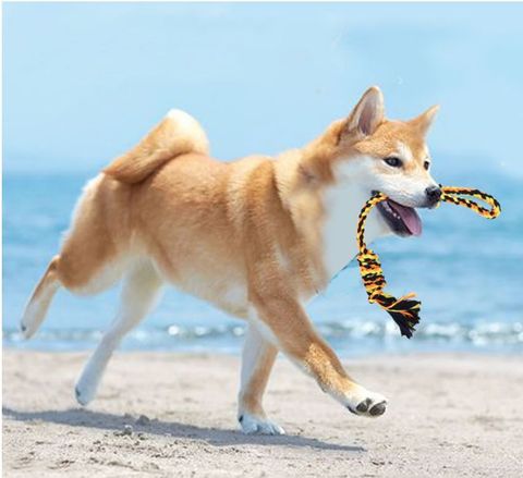 MYFSP4008-MYFSP4013_4