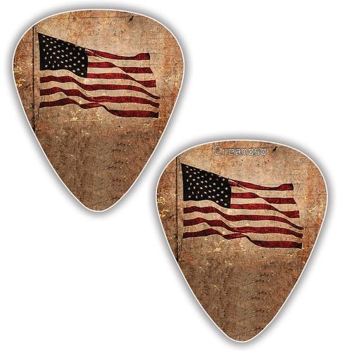 CNSGP2009_GP1_Vintage Guitar Picks