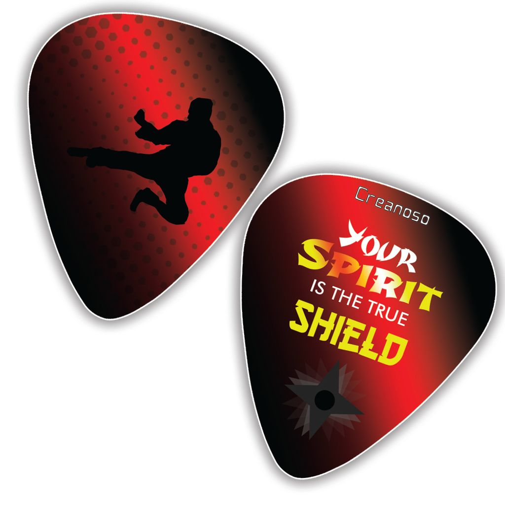 CNSGP5004_GP2_Cool Martial Arts Guitar Picks Variety Pack_12n1