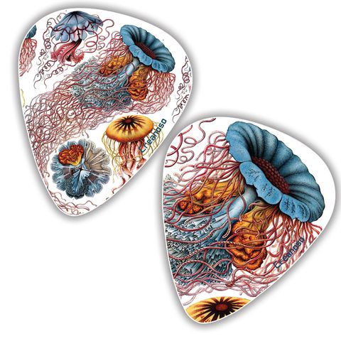 CNSGP5009_GP1_Cool Ernst Haeckel Vintage Guitar Picks_12n1