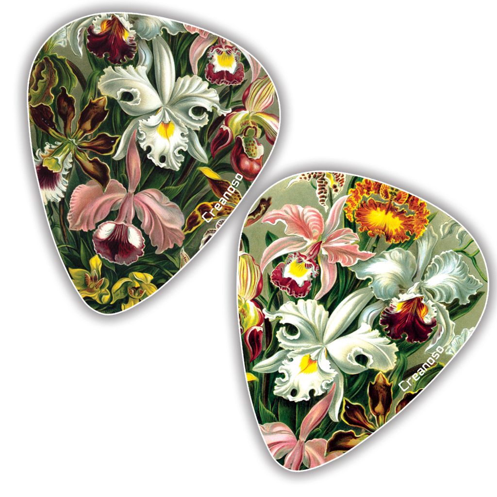 CNSGP5009_GP5_Cool Ernst Haeckel Vintage Guitar Picks_12n1