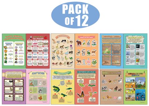 CNSPT4001_main_12P_Learning Posters - Animals