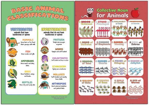 CNSPT4001_P1_Learning Posters - Animals