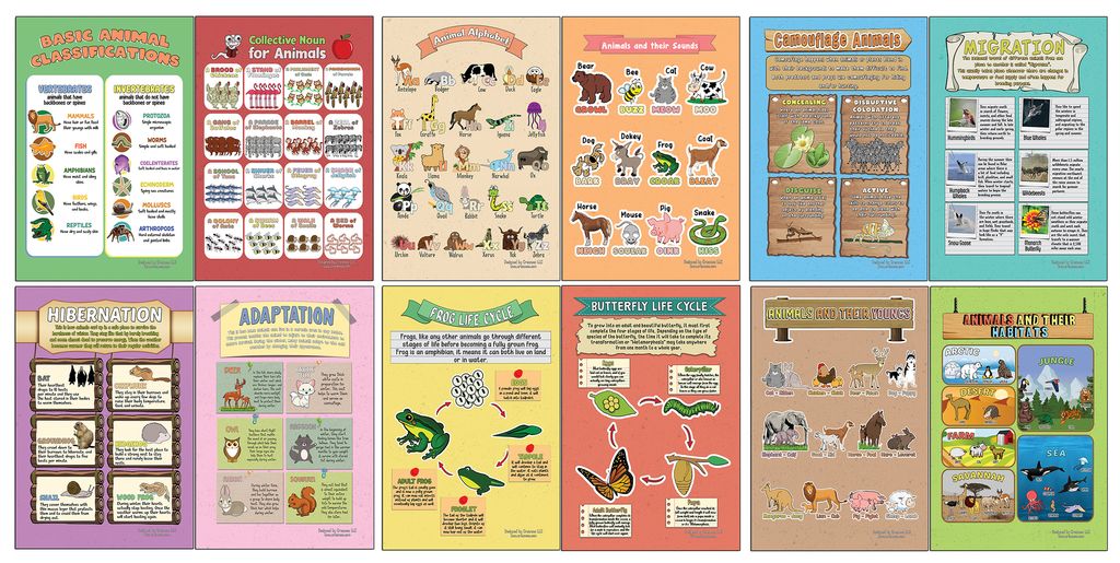 CNSPT4001_main_Learning Posters - Animals