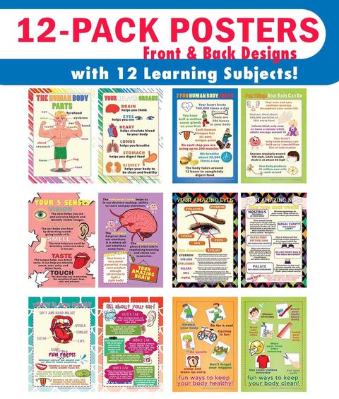 CNSPT2008_main_12P_The Human Body Educational Learning Posters