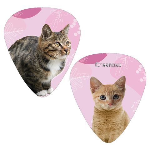 CNSGP4008_G 1_Cat Faces Guitar picks
