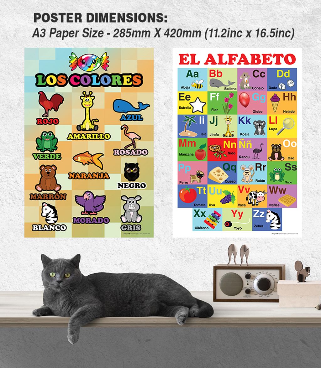 CNSPT5002_Mock_UP2_Spanish English Bilingual Educational Posters