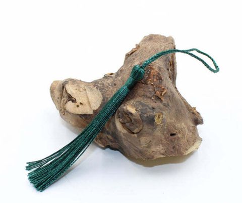 CNSBMT1009Tassels100-Pack_CymbidiumGreenColor_main_1024x1024@2x