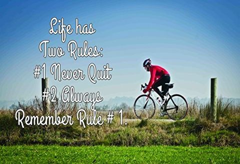 51OG6I3T0oL_76831533-acca-48f8-9599-399cc70b5f69_1024x1024@2x