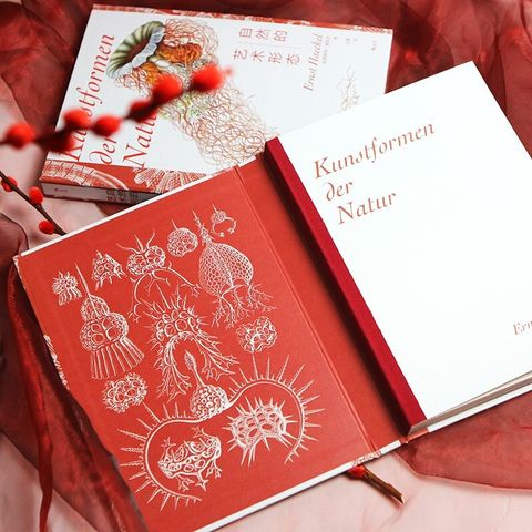 1 - 11936246375-4_u_1742871713