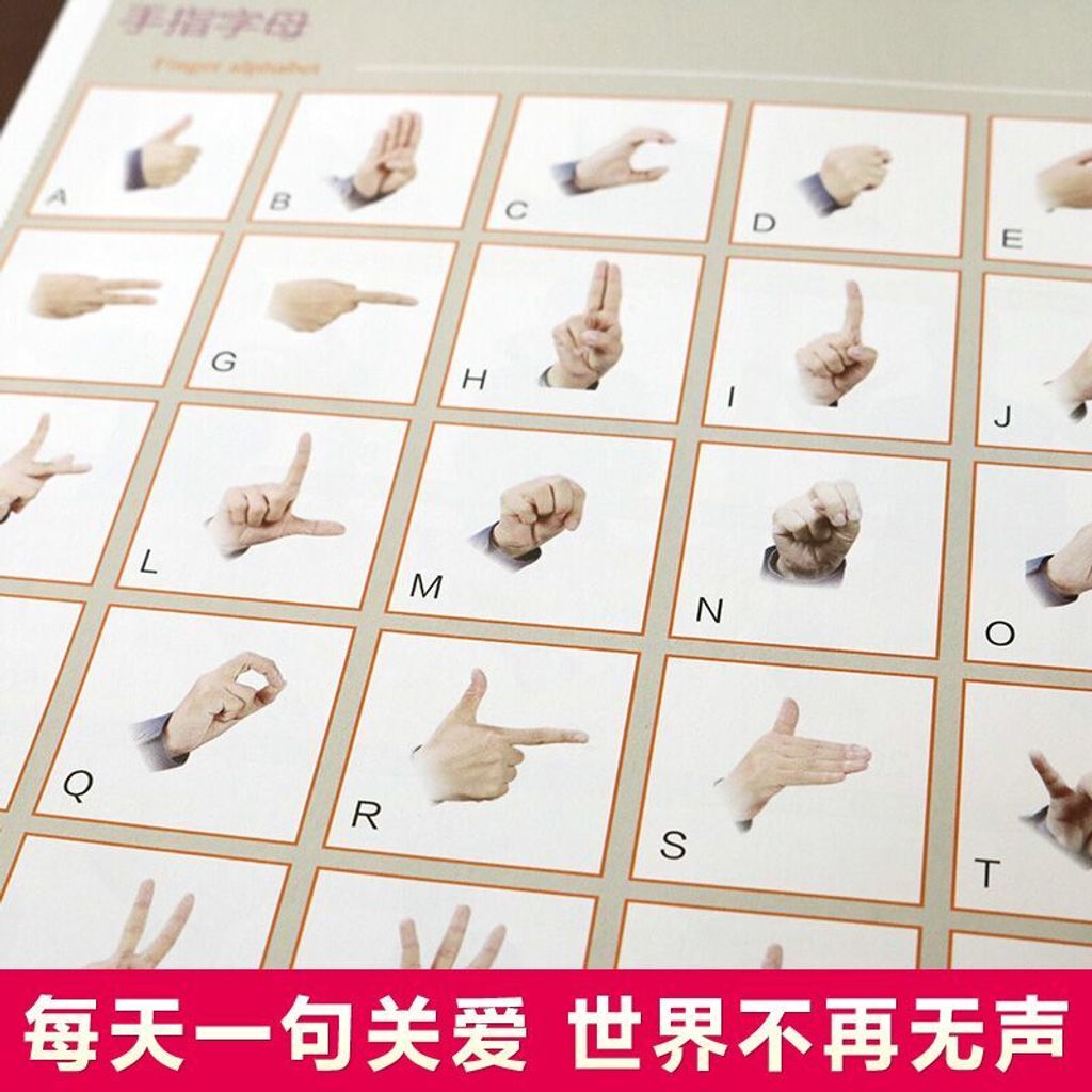 1 - 11874482214-5_u_1734565145