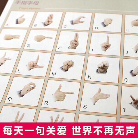 1 - 11874482214-5_u_1734565145