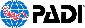 padi-68ee69641d6d40eaa3e537.png