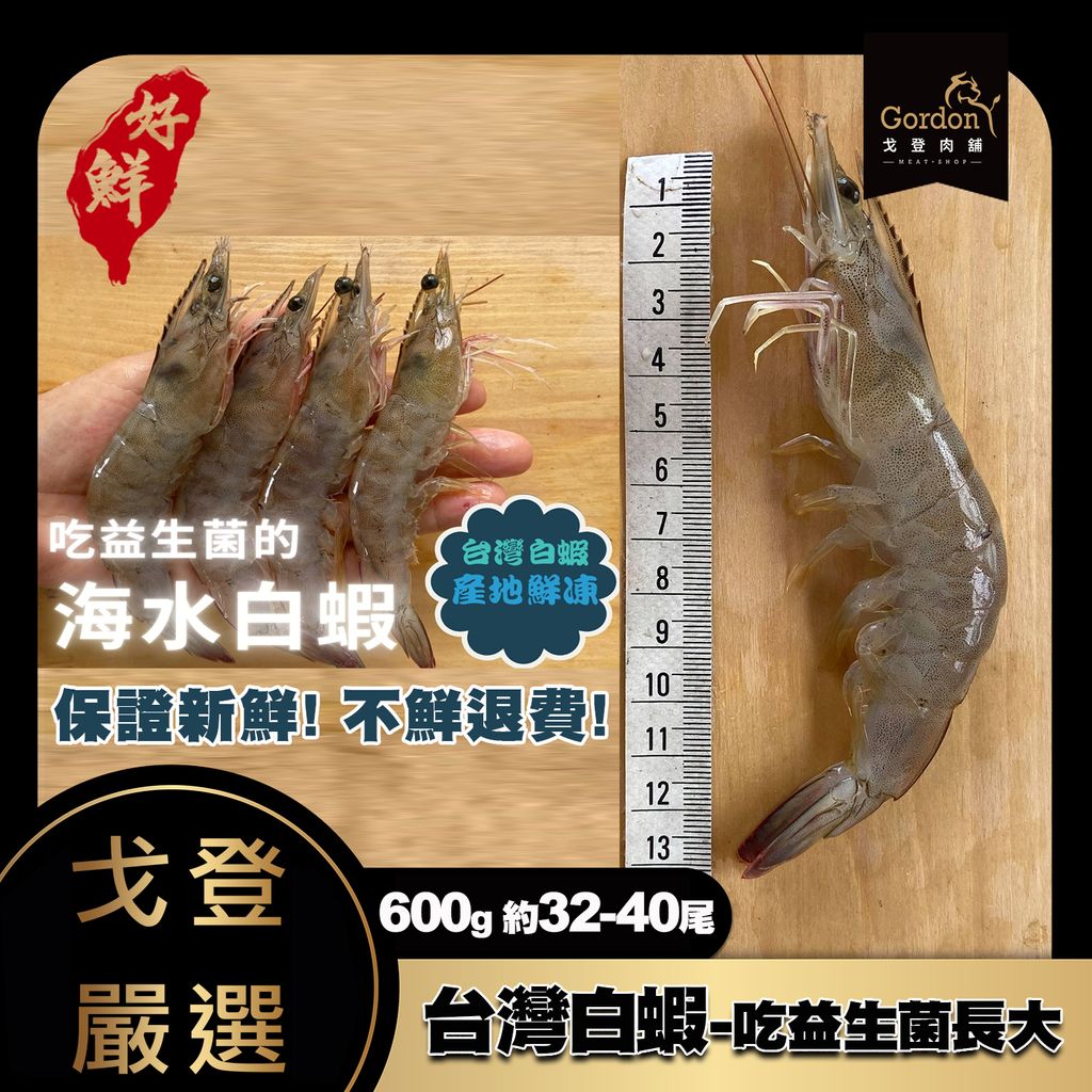 台灣白蝦-吃益生菌長大600g32-40尾-戈登肉舖.jpg