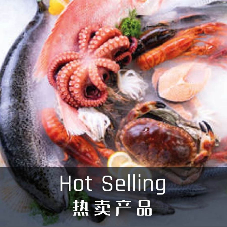 Fudo Trading |  - 